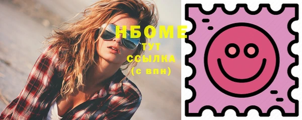 сатива Новозыбков