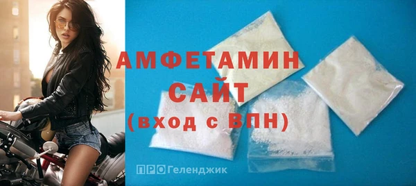 сатива Новозыбков