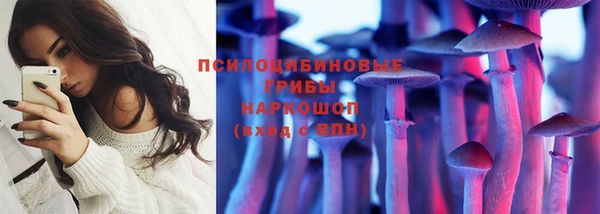 прущая мука Новодвинск