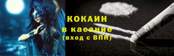 сатива Новозыбков