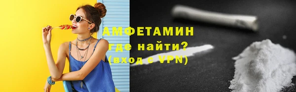 сатива Новозыбков