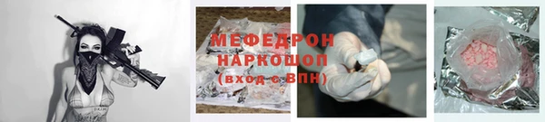 сатива Новозыбков