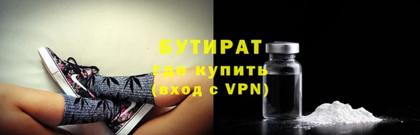 сатива Новозыбков