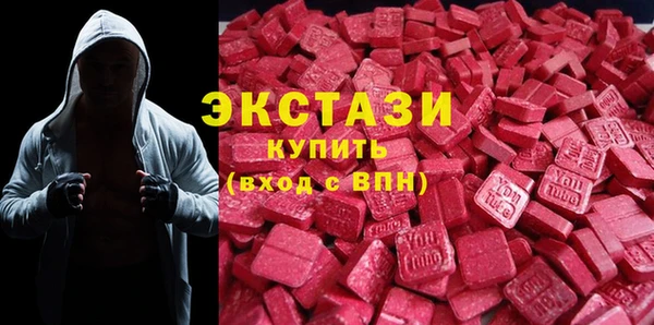 сатива Новозыбков