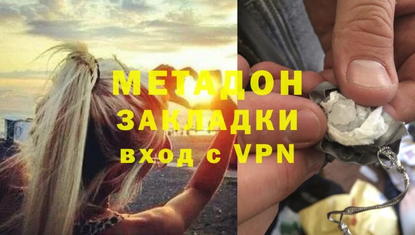 сатива Новозыбков