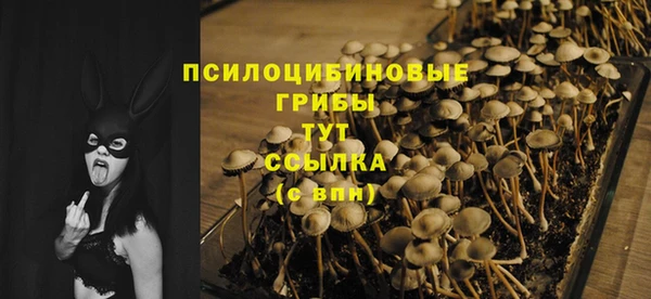 прущая мука Новодвинск