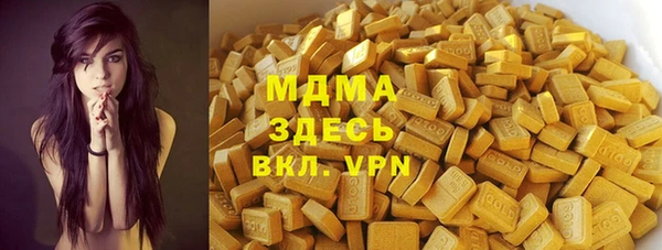 сатива Новозыбков