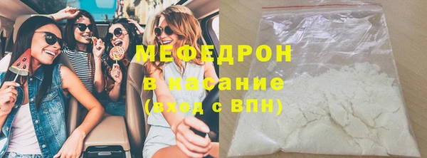 сатива Новозыбков